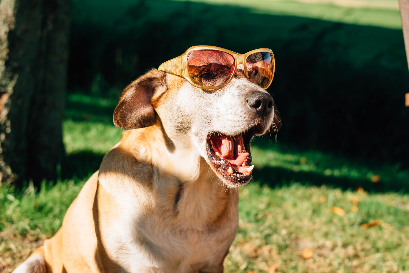Reportage Tjarkshof eine Oase für Familien mit besonderen Kindern in Friedrichskoo