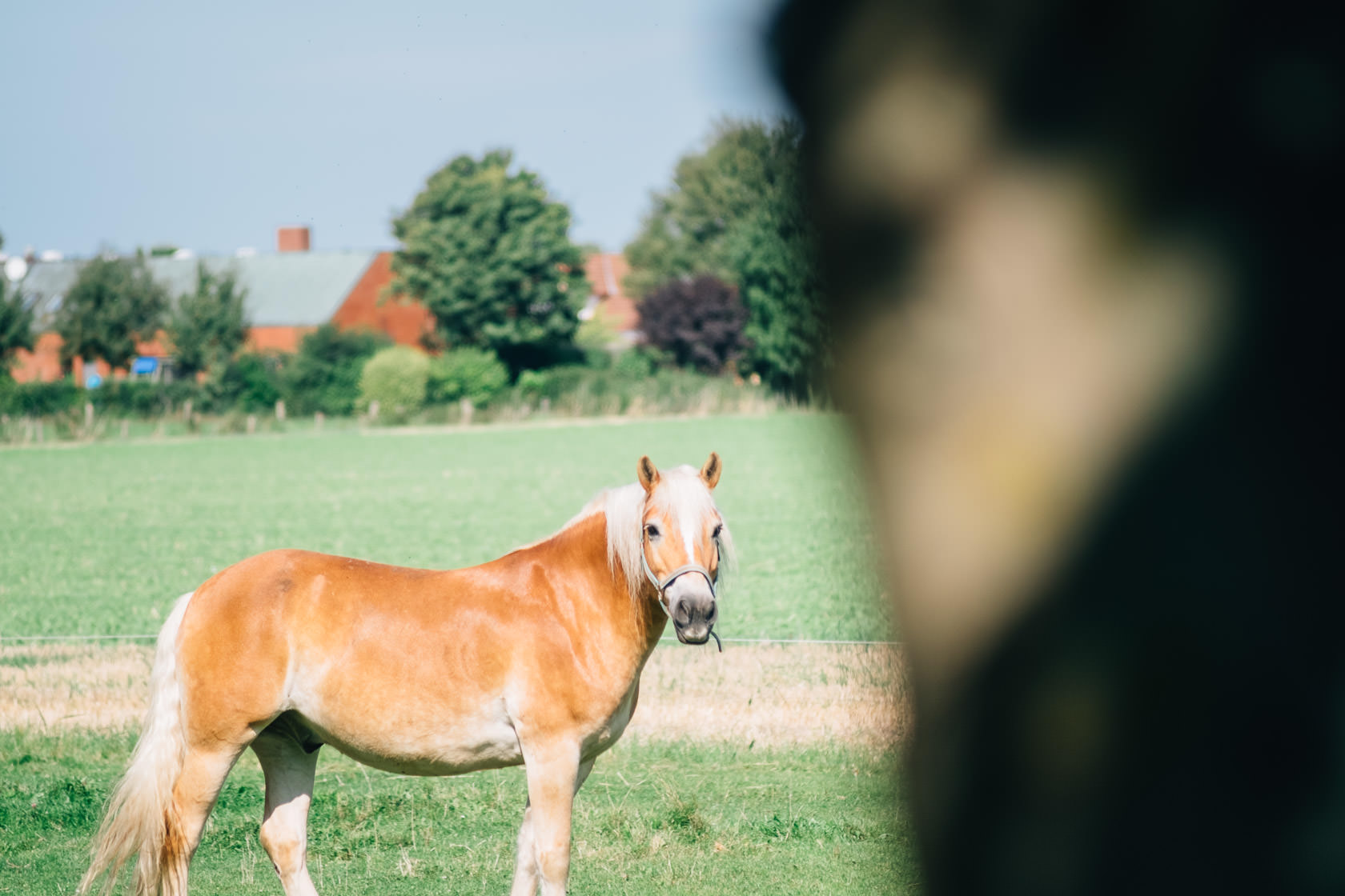 Reportage Tjarkshof eine Oase für Familien mit besonderen Kindern in Friedrichskoo