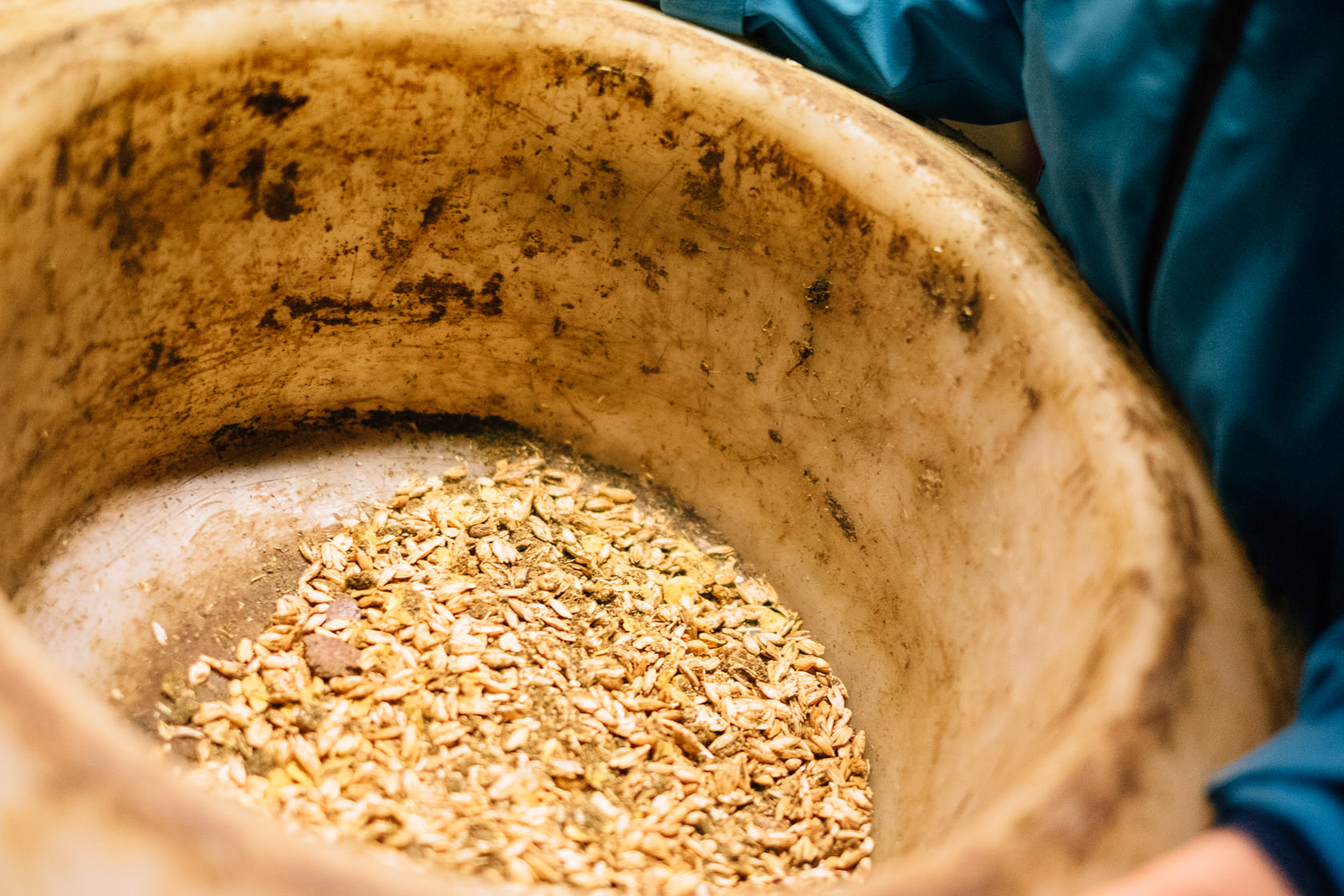 Reportage Tjarkshof eine Oase für Familien mit besonderen Kindern in Friedrichskoo