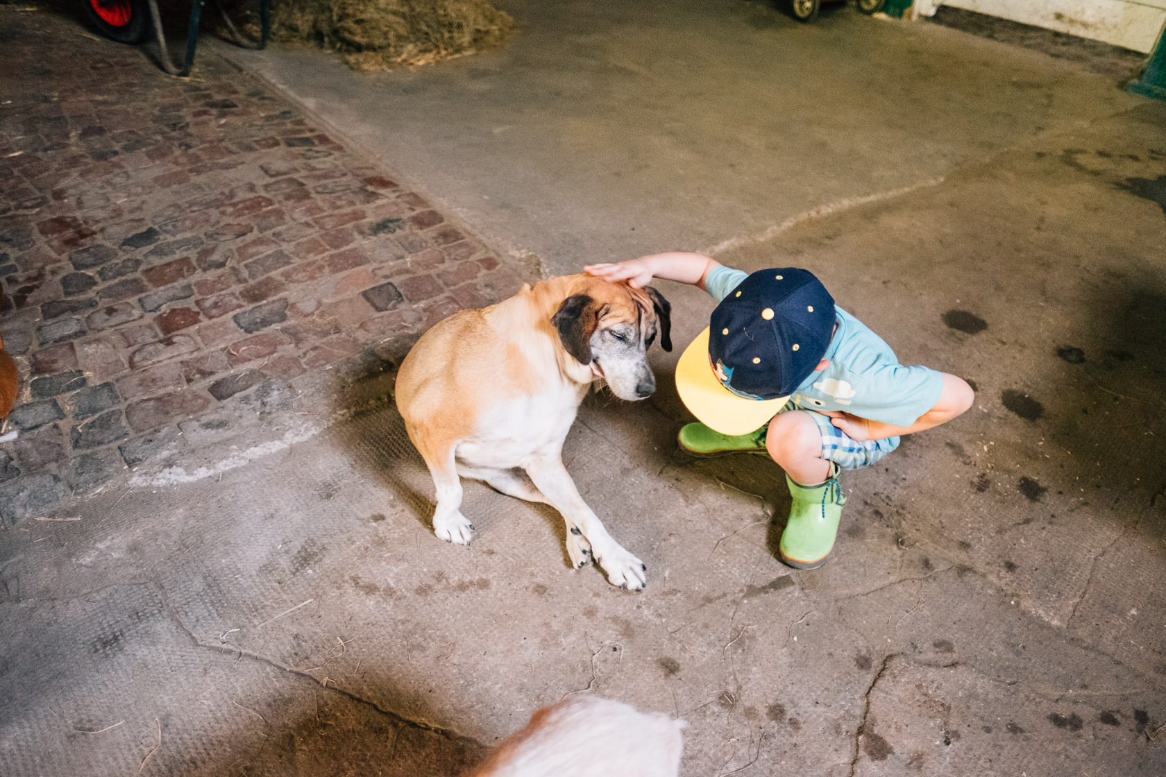 Reportage Tjarkshof eine Oase für Familien mit besonderen Kindern in Friedrichskoo