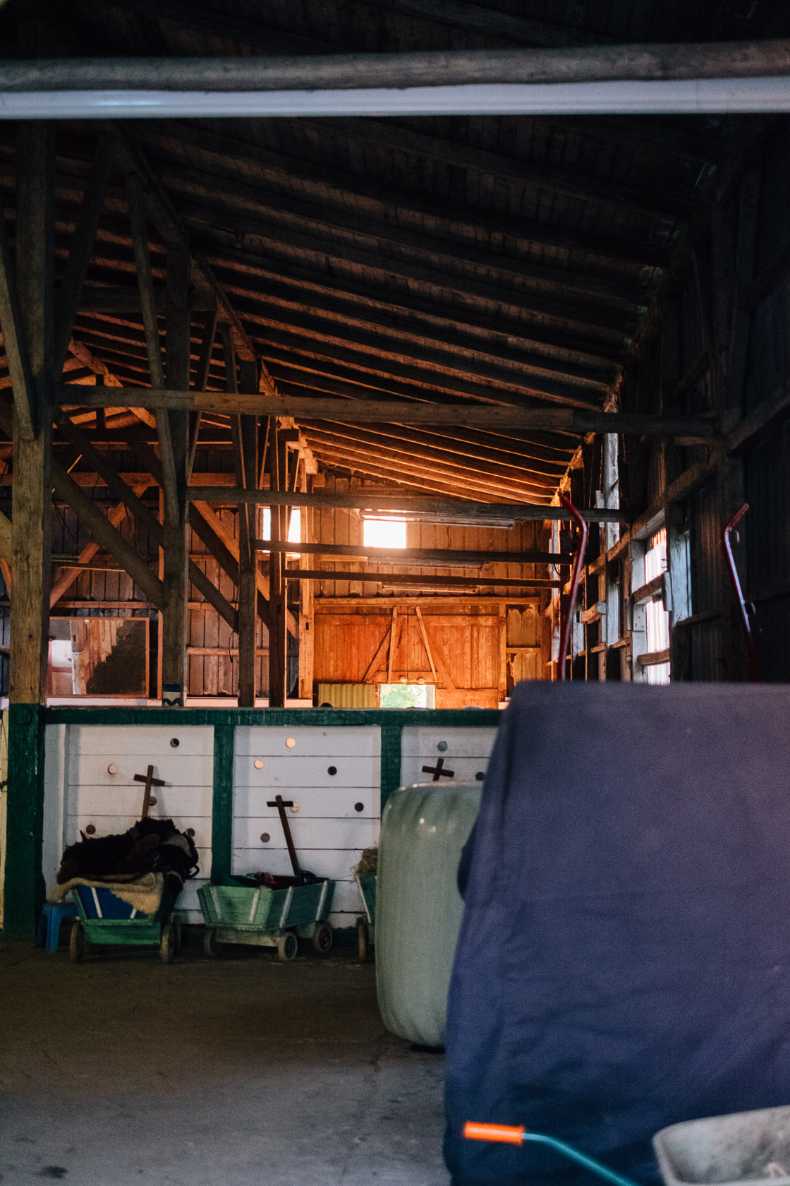 Reportage Tjarkshof eine Oase für Familien mit besonderen Kindern in Friedrichskoo