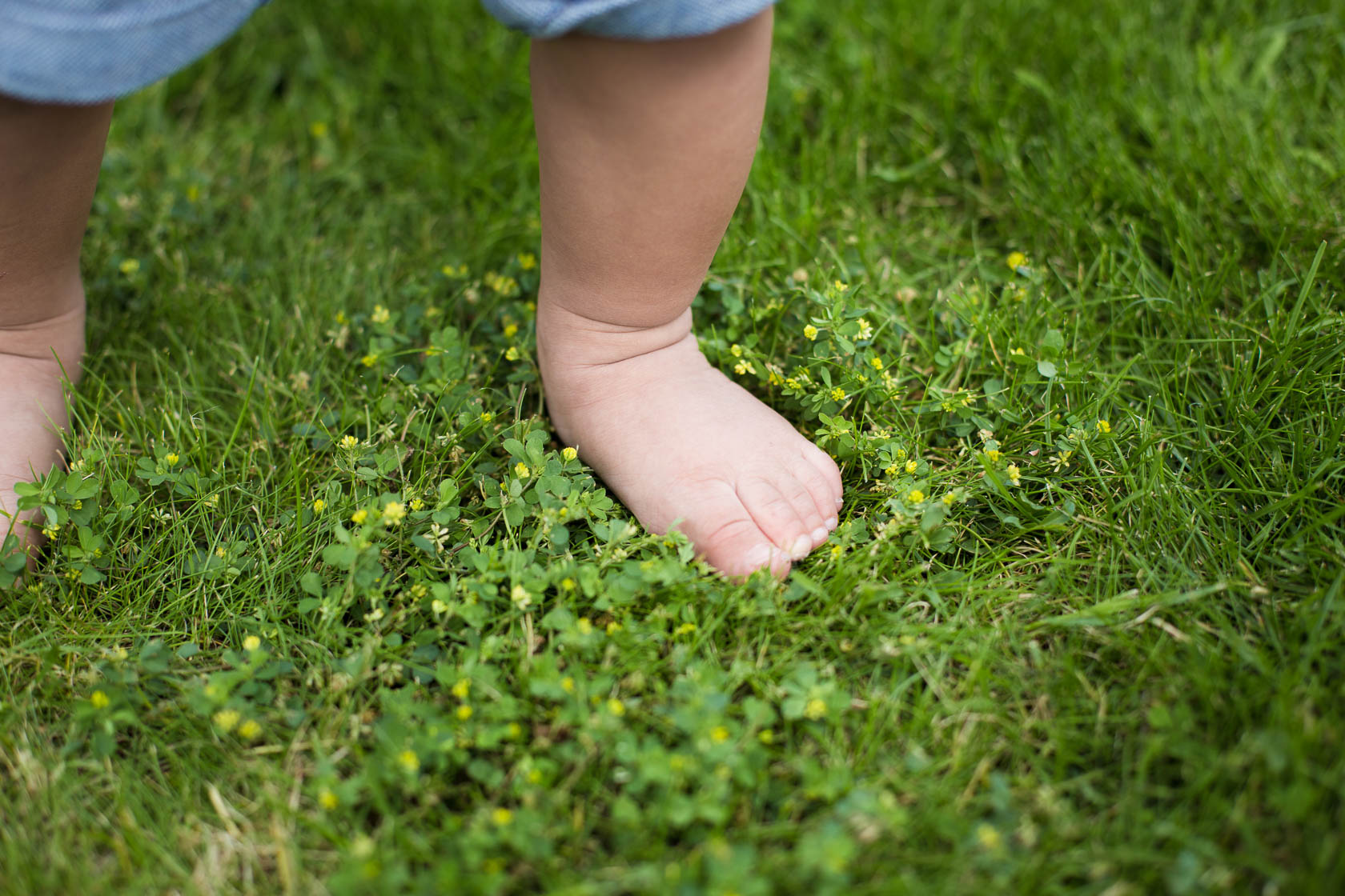 Familienfotos von Familie Herling in Wiesental