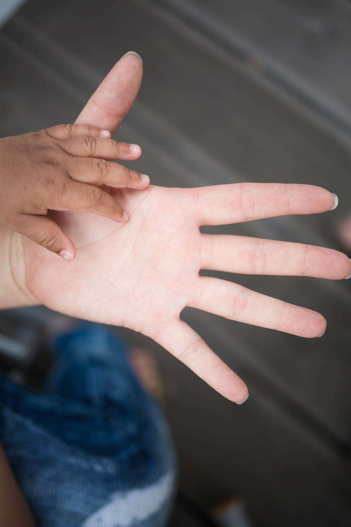 Familienfotos von Familie Herling in Wiesental