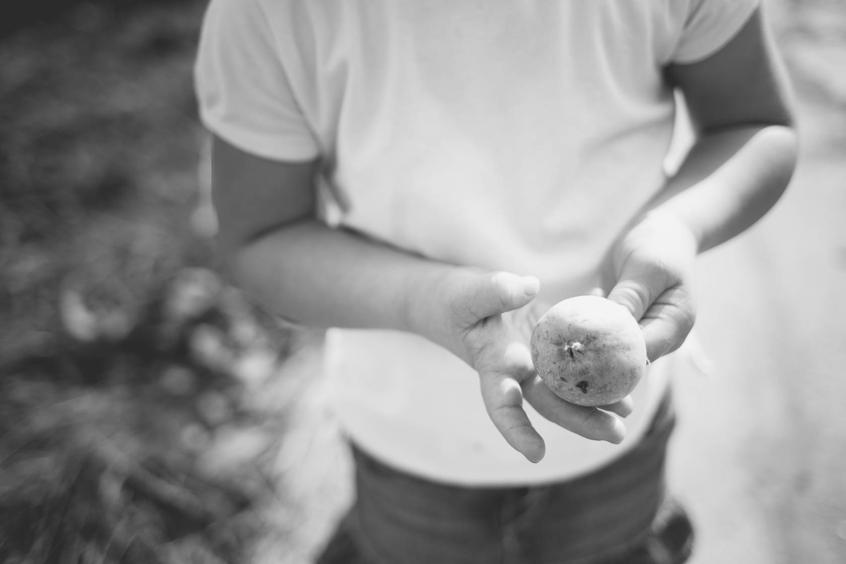 Familienfotos von Thea Philip Johannes Verena und Peter bei Speyer Apfel