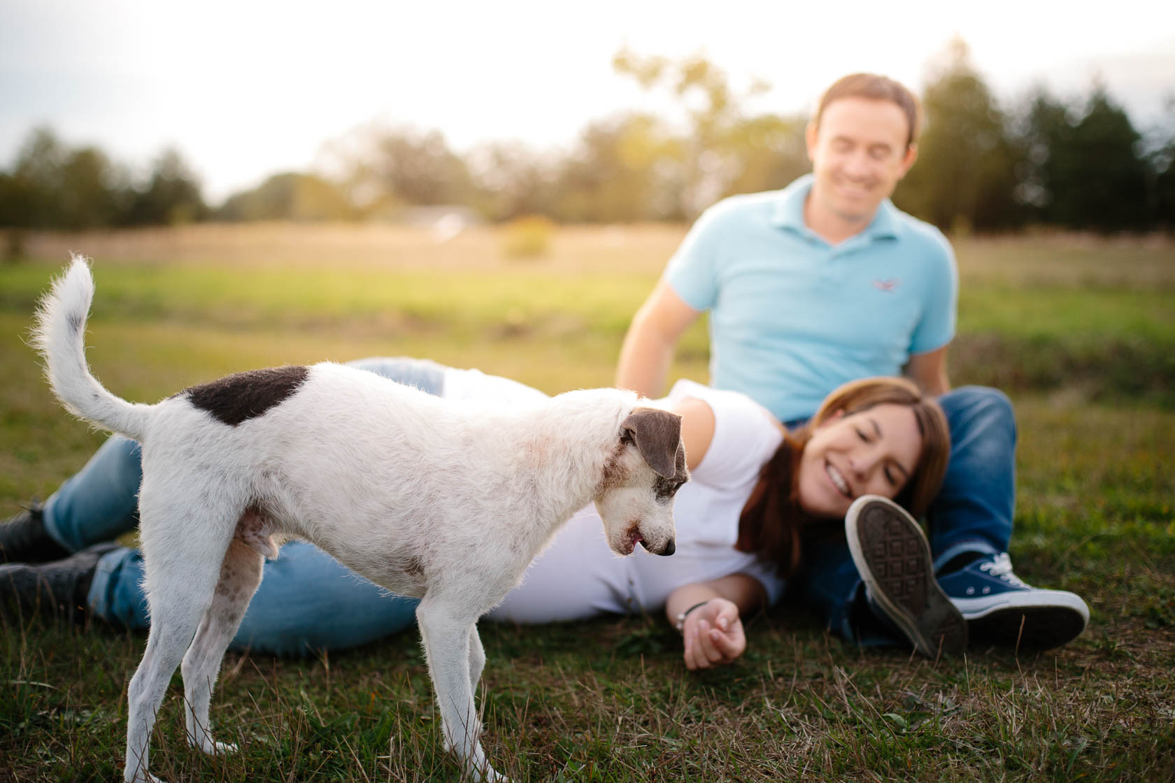 Entspanntes Paarshooting und Babybauch Shooting mit Hund im Sonnenuntergang