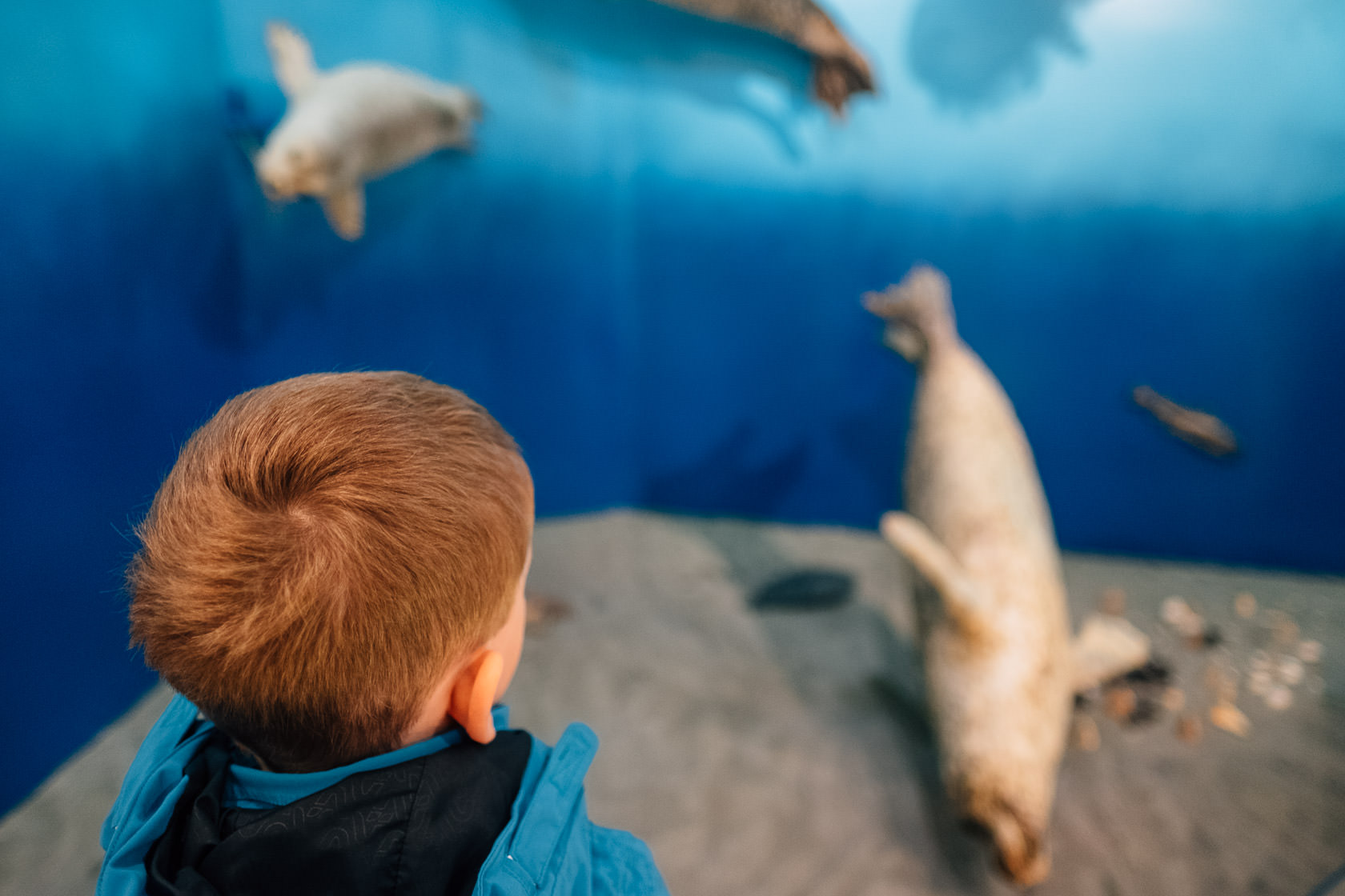 Reportage Tjarkshof eine Oase für Familien mit besonderen Kindern in Friedrichskoo