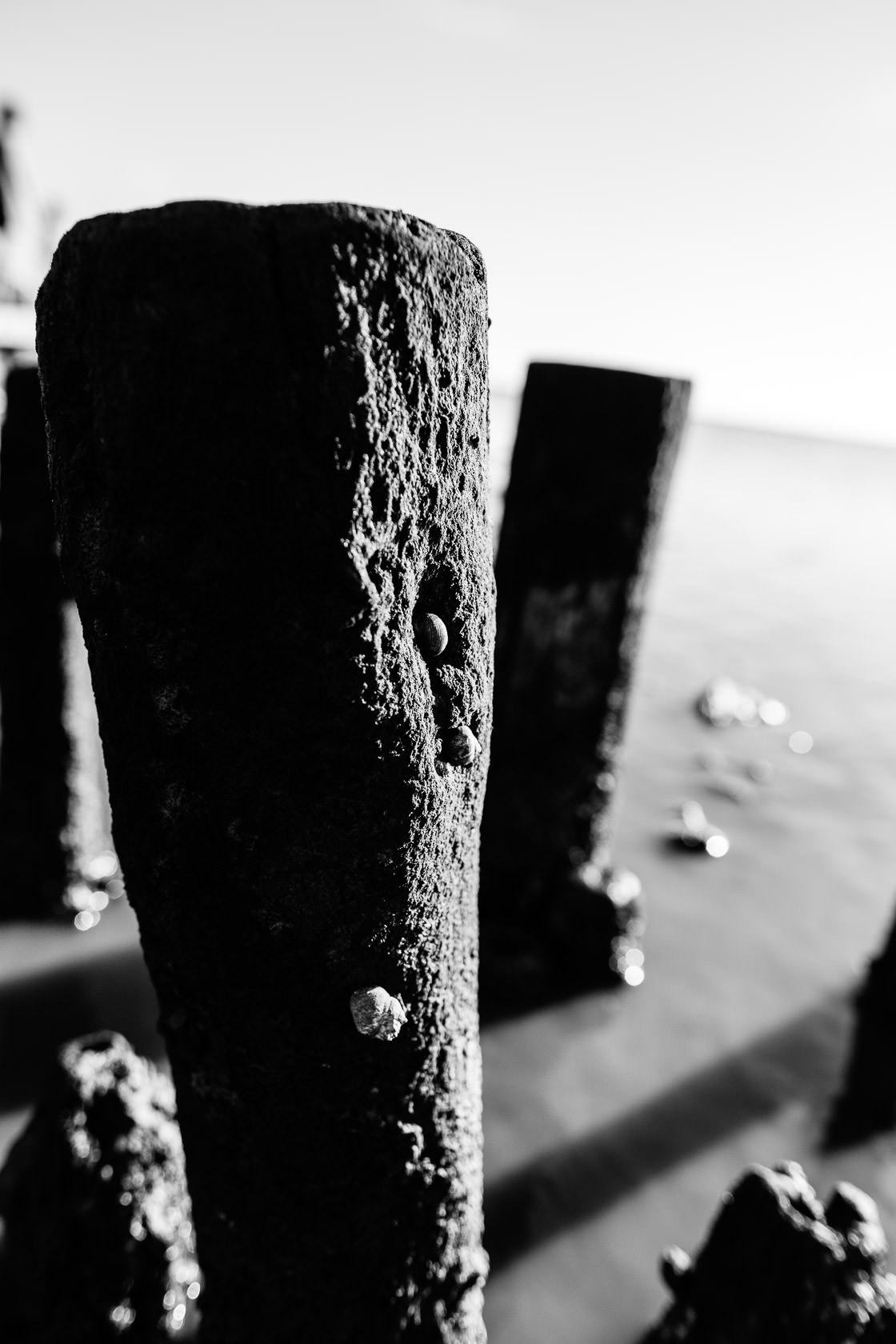 Reportage Tjarkshof eine Oase für Familien mit besonderen Kindern in Friedrichskoo