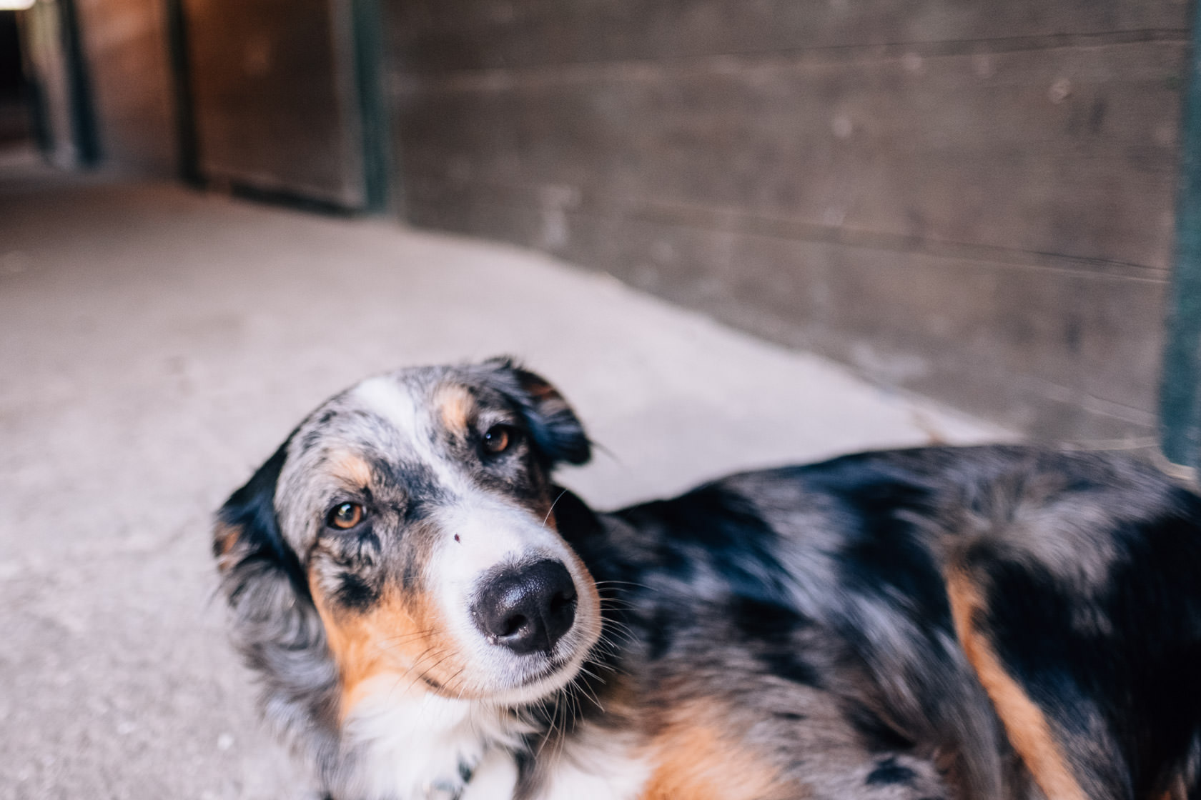 Reportage Tjarkshof eine Oase für Familien mit besonderen Kindern in Friedrichskoo