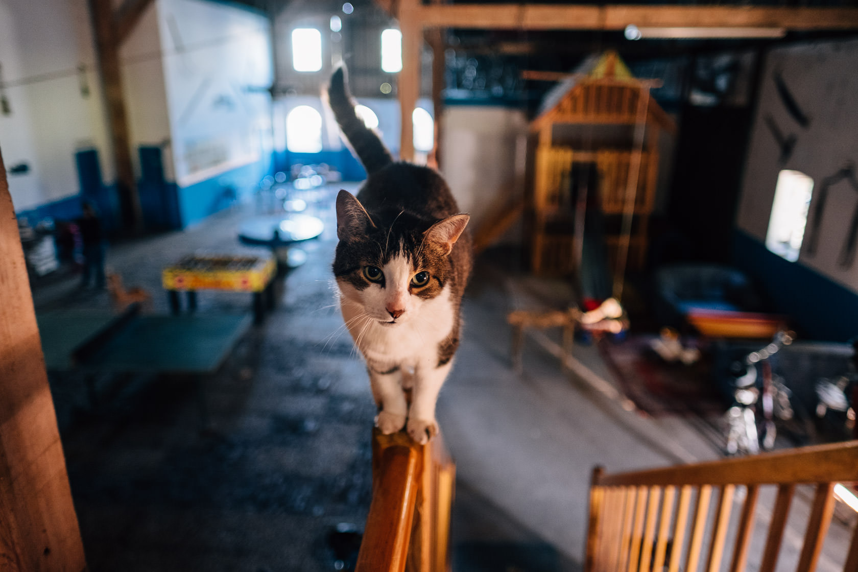 Reportage Tjarkshof eine Oase für Familien mit besonderen Kindern in Friedrichskoo