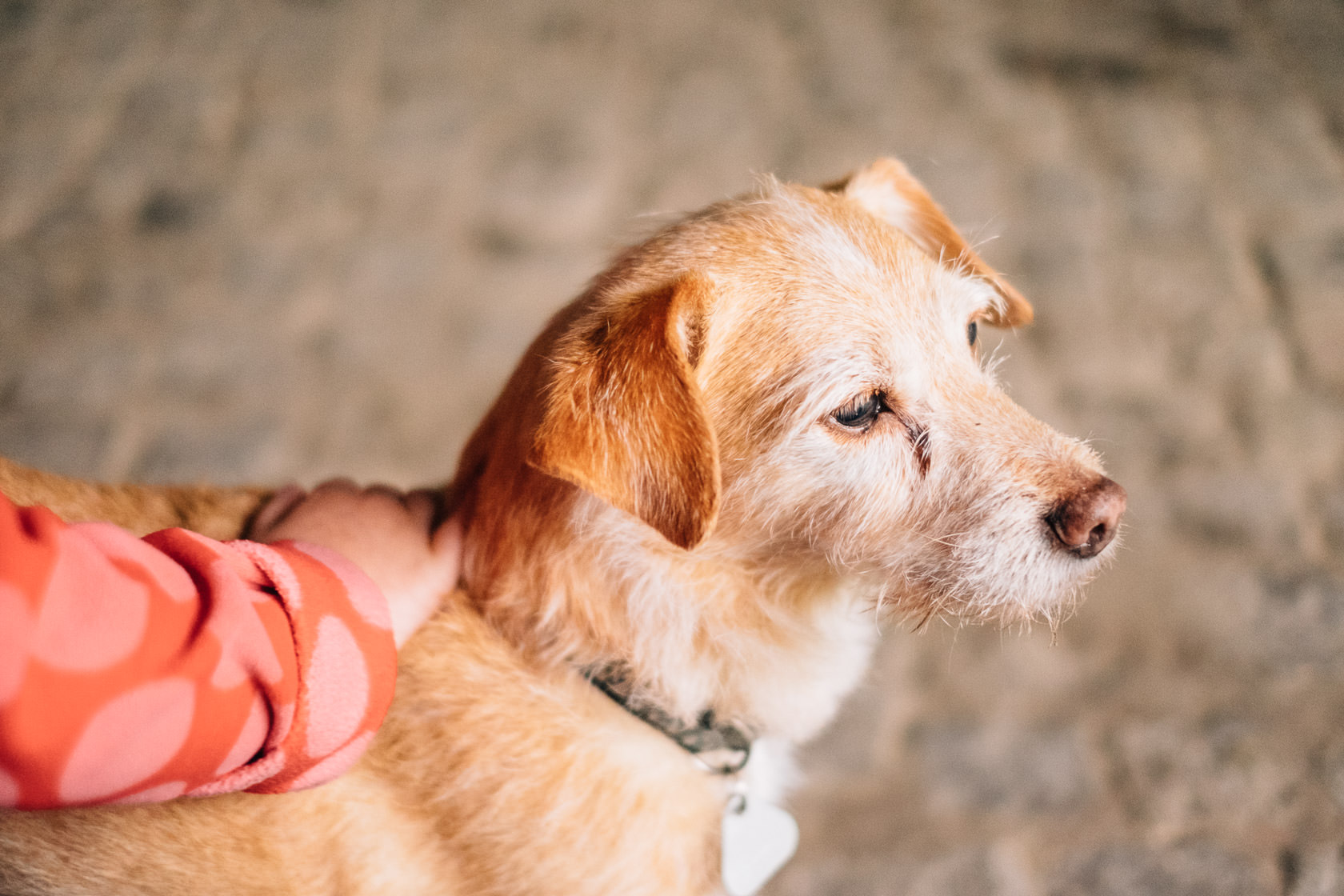 Reportage Tjarkshof eine Oase für Familien mit besonderen Kindern in Friedrichskoo