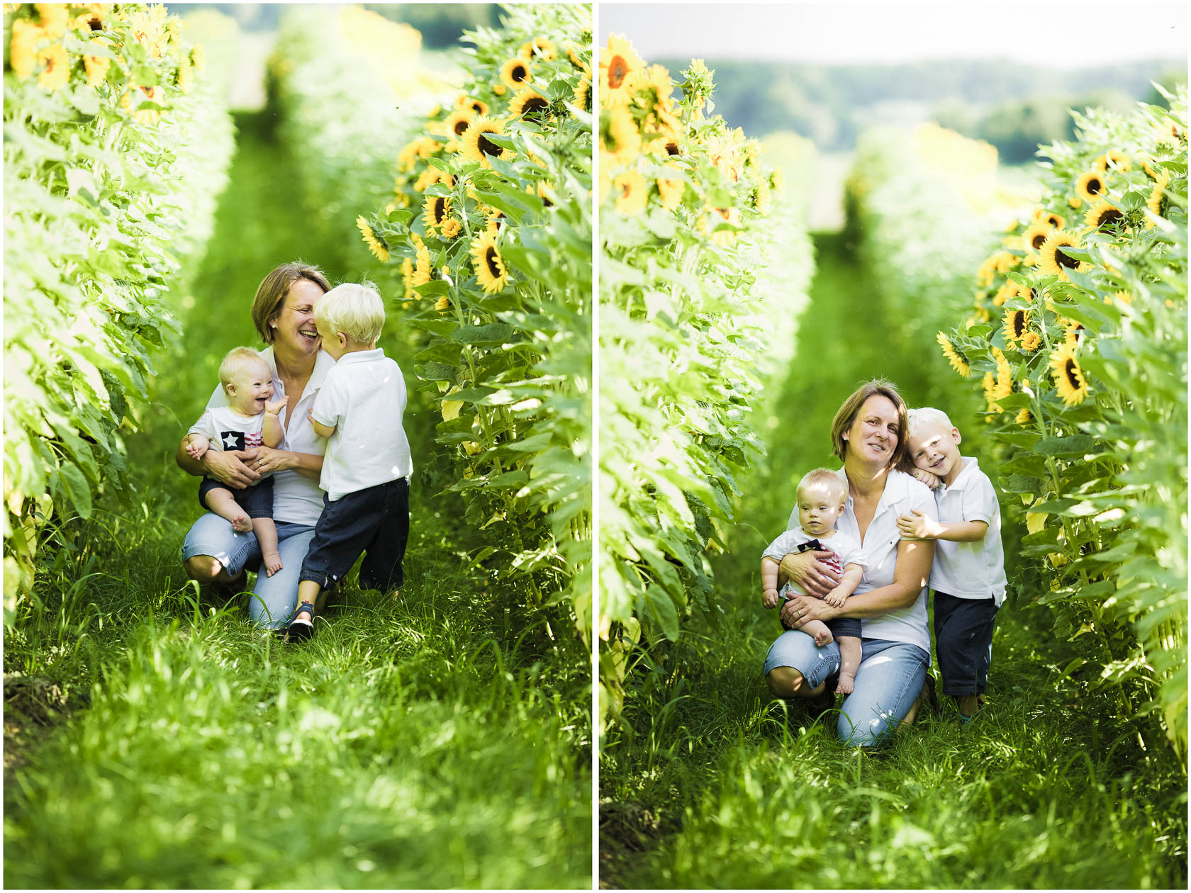 Familienfotos von Thea Philip Johannes Verena und Peter bei Speyer Familienfoto Sonnenblumen