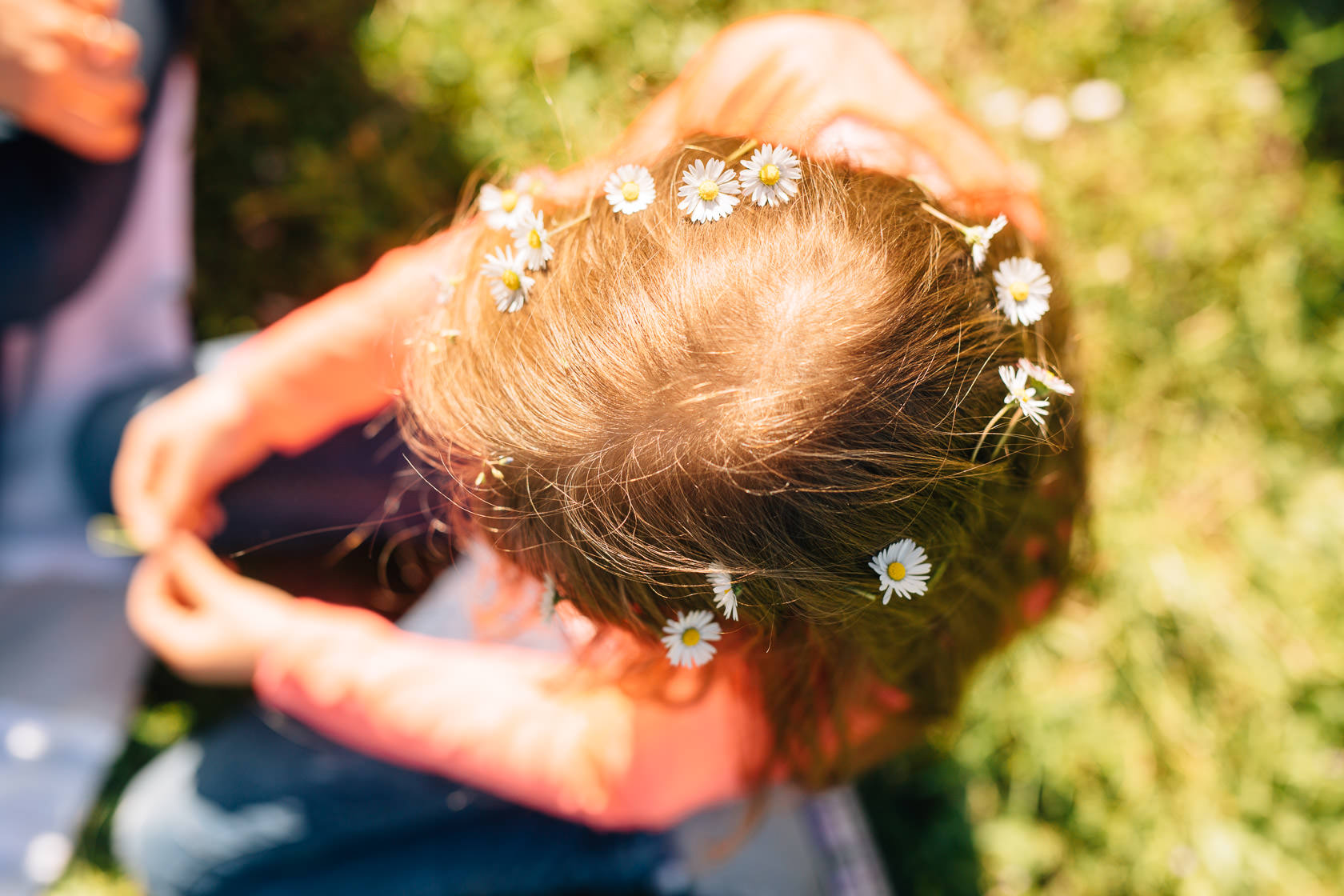 Familienfotos in der Natur Familienfotograf Karlsruhe Sommerfotos Pusteblumen Familienfotografie Fotograf