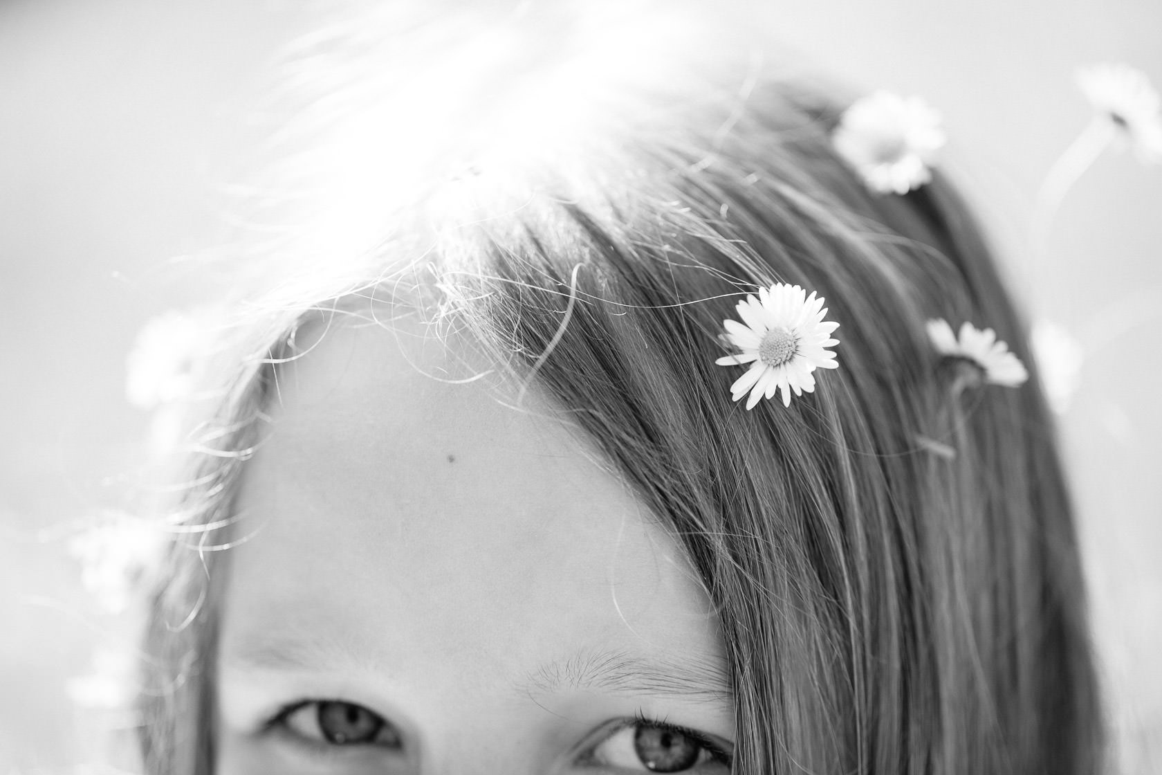 Familienfotos in der Natur Familienfotograf Karlsruhe Sommerfotos Pusteblumen Familienfotografie Fotograf