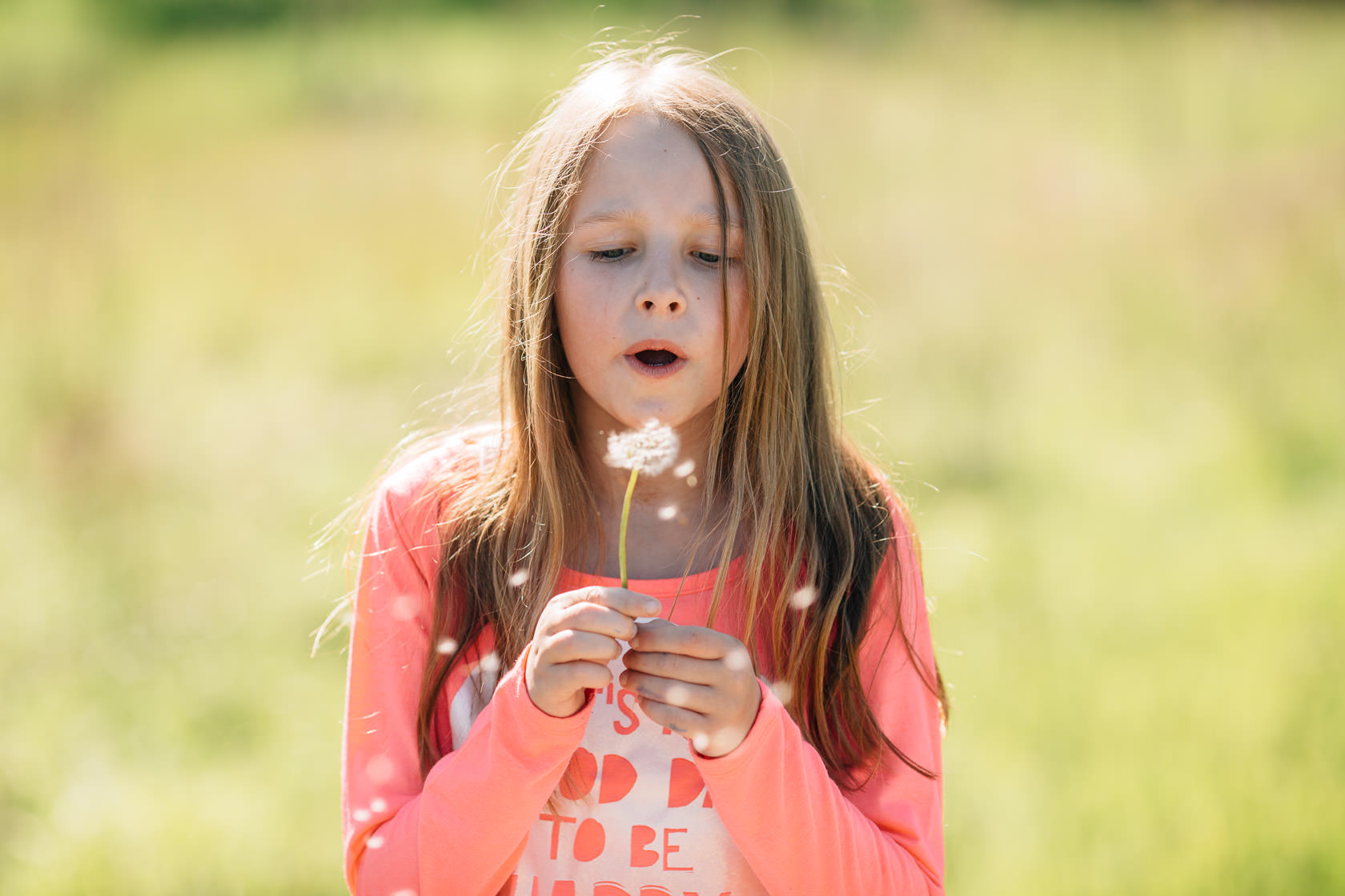 Familienfotos in der Natur Familienfotograf Karlsruhe Sommerfotos Pusteblumen Familienfotografie Fotograf