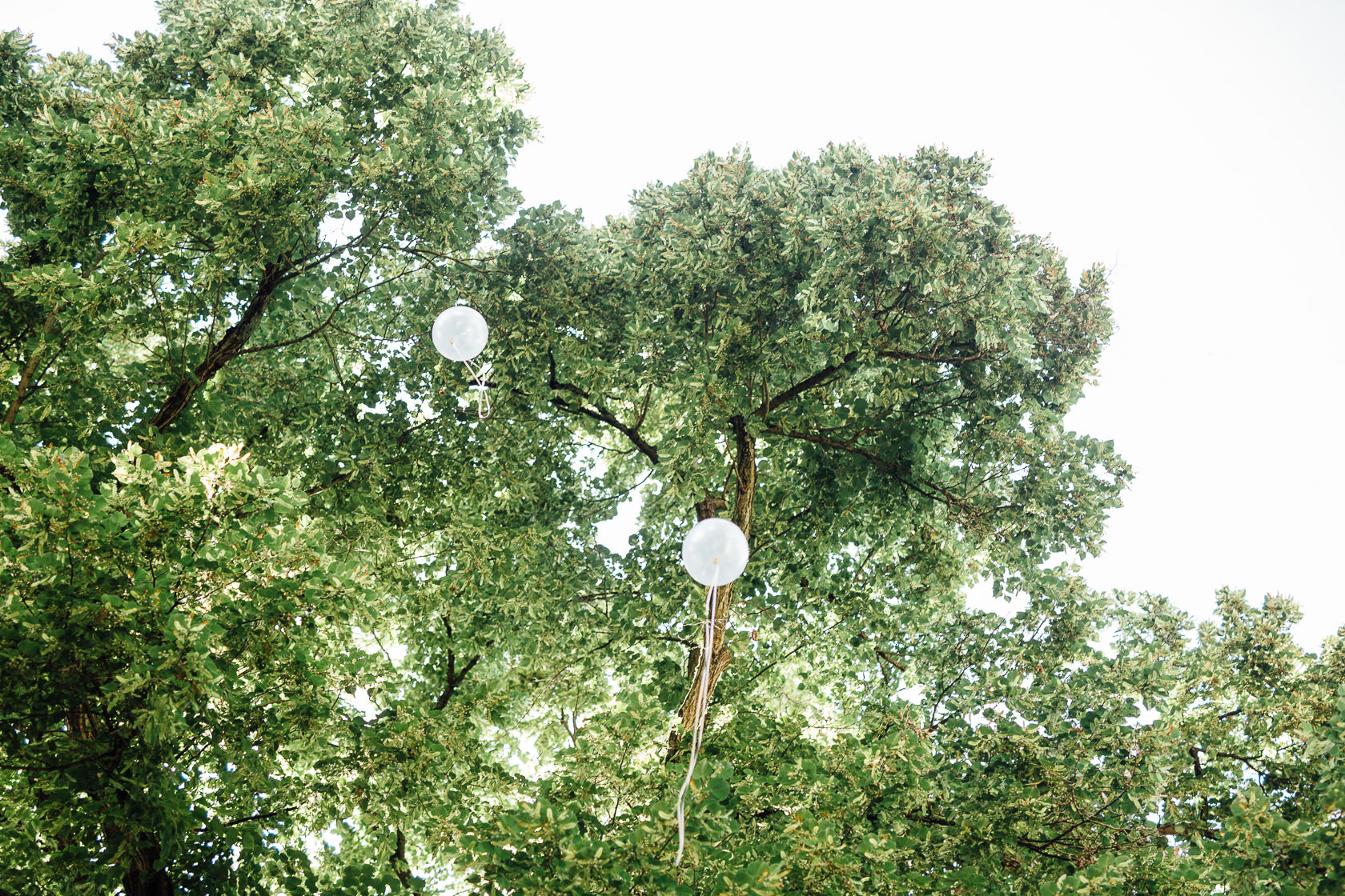 Momente der Hochzeitsfeier im Garten des Kurhaus Bad Münster