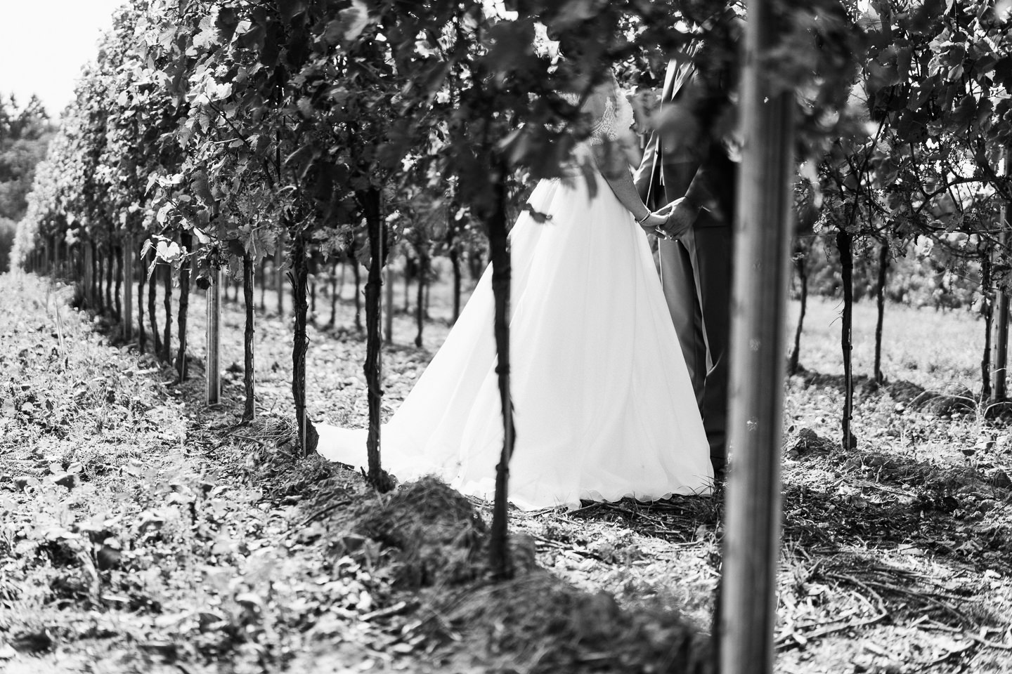 Hochzeitsfotograf Kraichgau Weingut Heitlinger Xenia und Florian Brautpaarfotos Brautportrait Weinberge Vineyard Vineyard Bridal Portraits Emotional Kraichtal