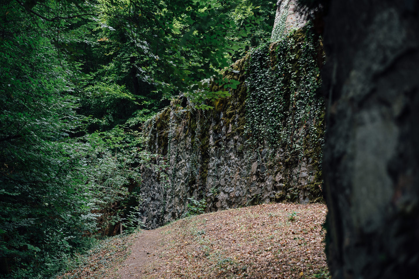 Hochzeitsfotograf Odenwald Burgruine Rodenstein Janina und Henrik Paarfotos auf der Burgruine