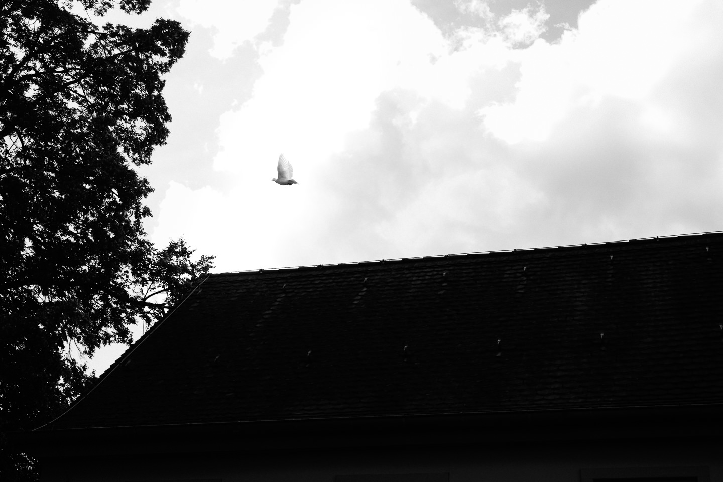 Hochzeitsfotograf Odenwald Burgruine Rodenstein Janina und Henrik Hochzeitsreportage Trauung in Bad Koenig