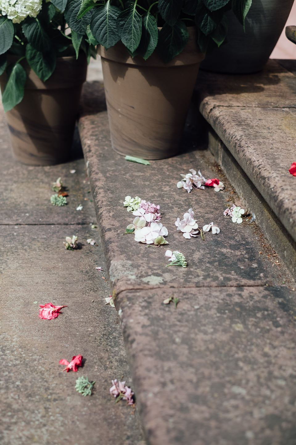 Hochzeitsfotograf Odenwald Burgruine Rodenstein Janina und Henrik Hochzeitsreportage Trauung in Bad Koenig