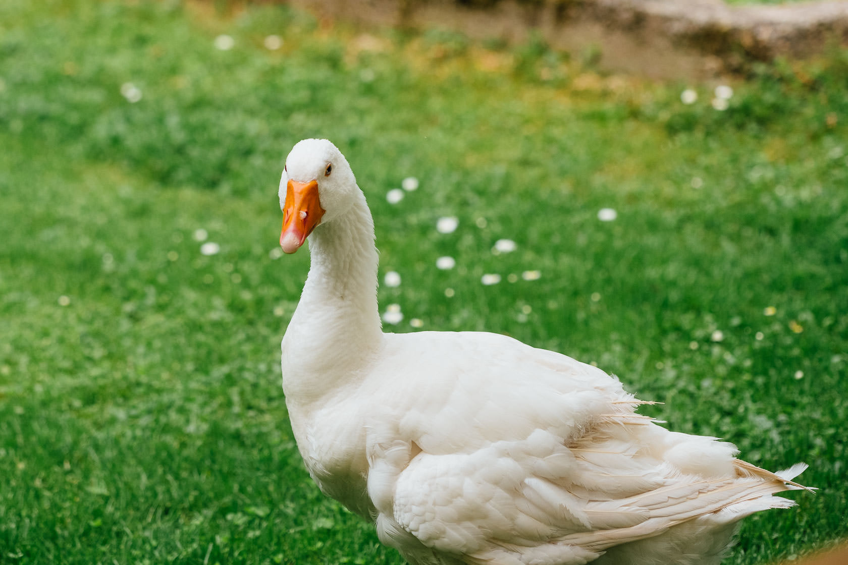 Hochzeitsfotograf Trauhochzeit in der Heidersbacher Muehle Nadine und Michael Natur Hochzeitsreportage Sommer Sonne Gewitter Freie Trauung