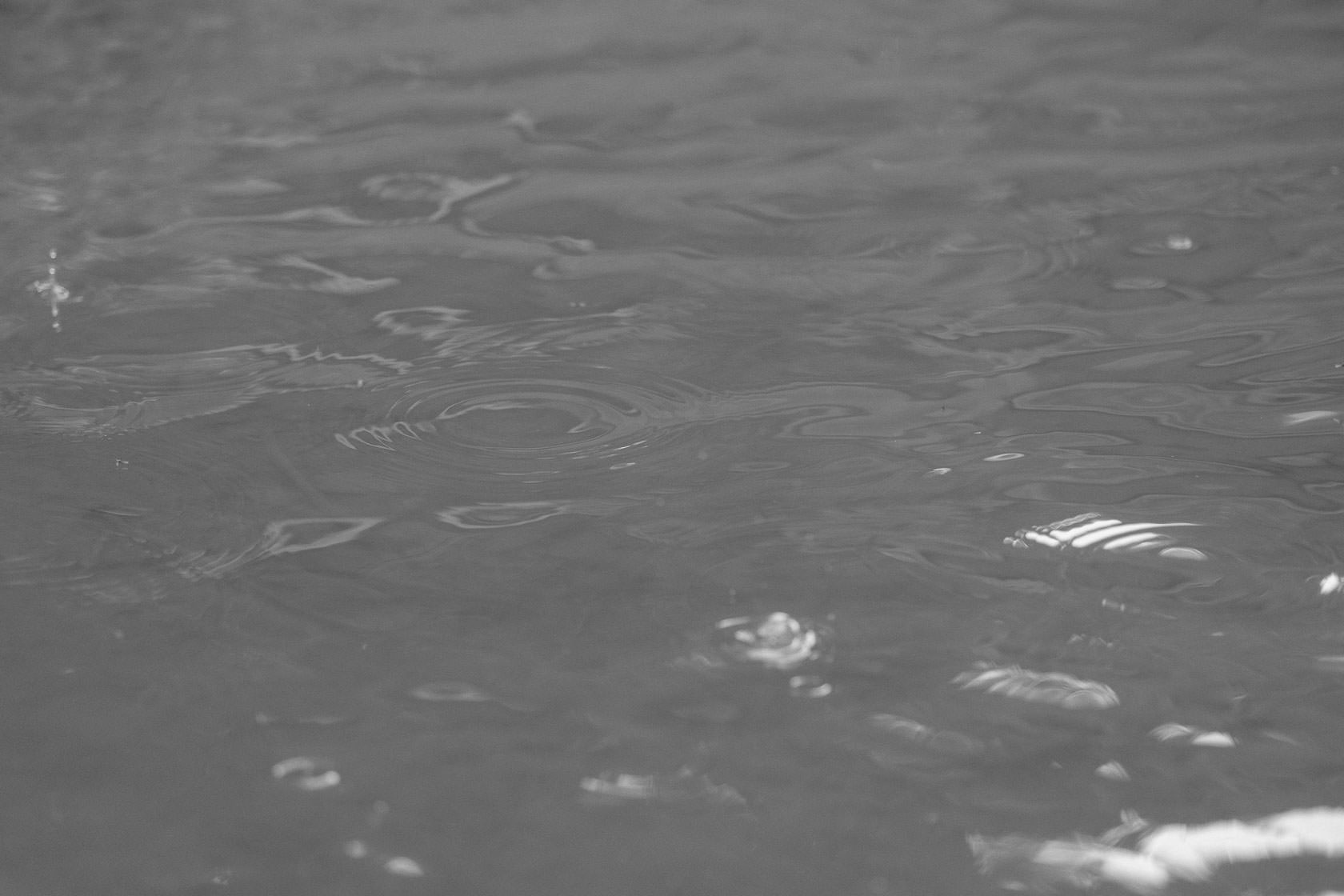 Hochzeitsfotograf Trauhochzeit in der Heidersbacher Muehle Nadine und Michael Natur Hochzeitsreportage Sommer Sonne Gewitter Freie Trauung Reportagefotografie Waghaeusel Mannheim Karlsrue Hochzeitsfotografie Hochzeitsfotos