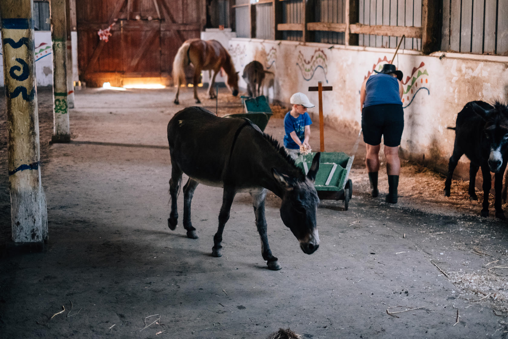Reportage Tjarkshof eine Oase für Familien mit besonderen Kindern in Friedrichskoo