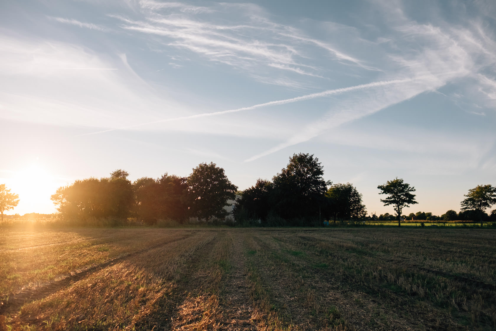 Reportage Tjarkshof eine Oase für Familien mit besonderen Kindern in Friedrichskoo