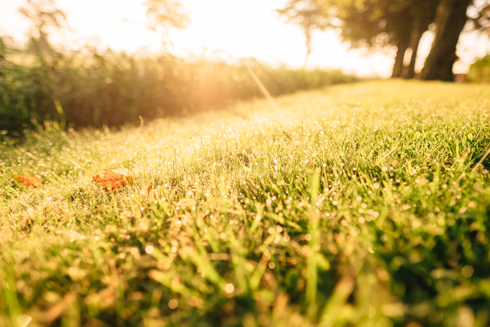Reportage Tjarkshof eine Oase für Familien mit besonderen Kindern in Friedrichskoo